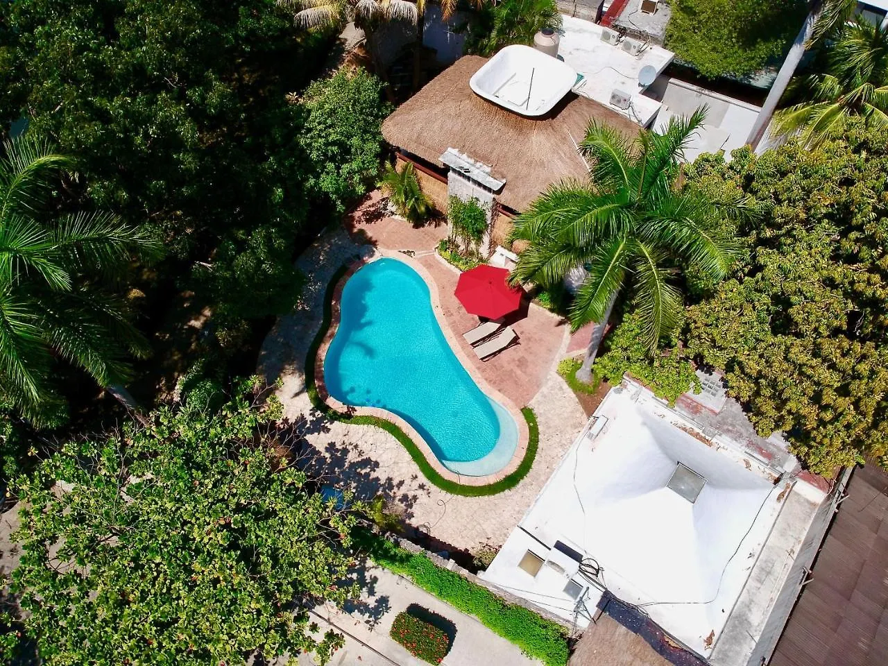 Casa de hóspedes Mango Rooms